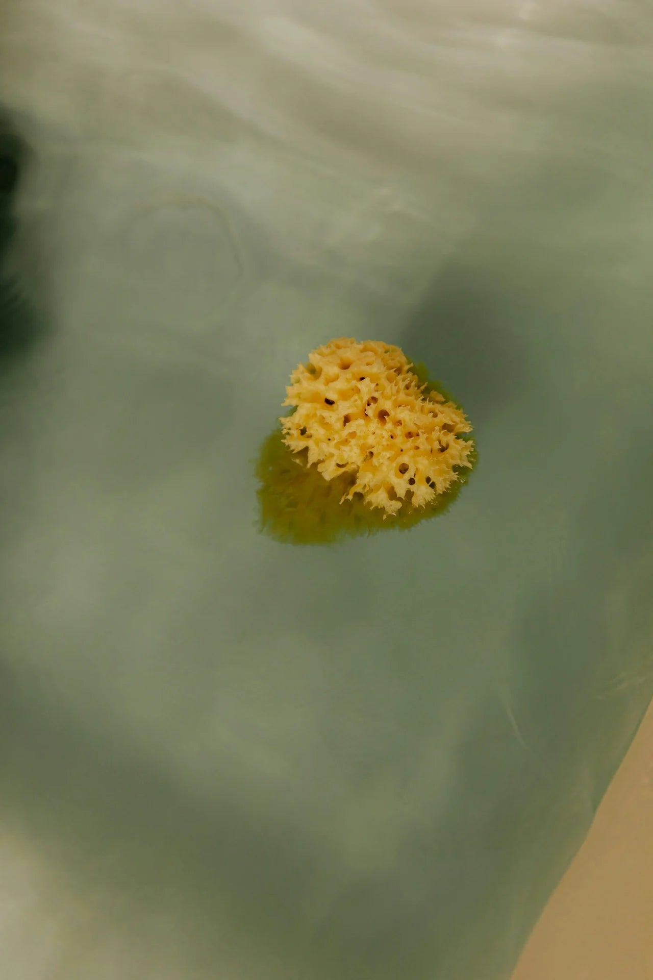 Gel douche • Vanilla Woods & Patchouli