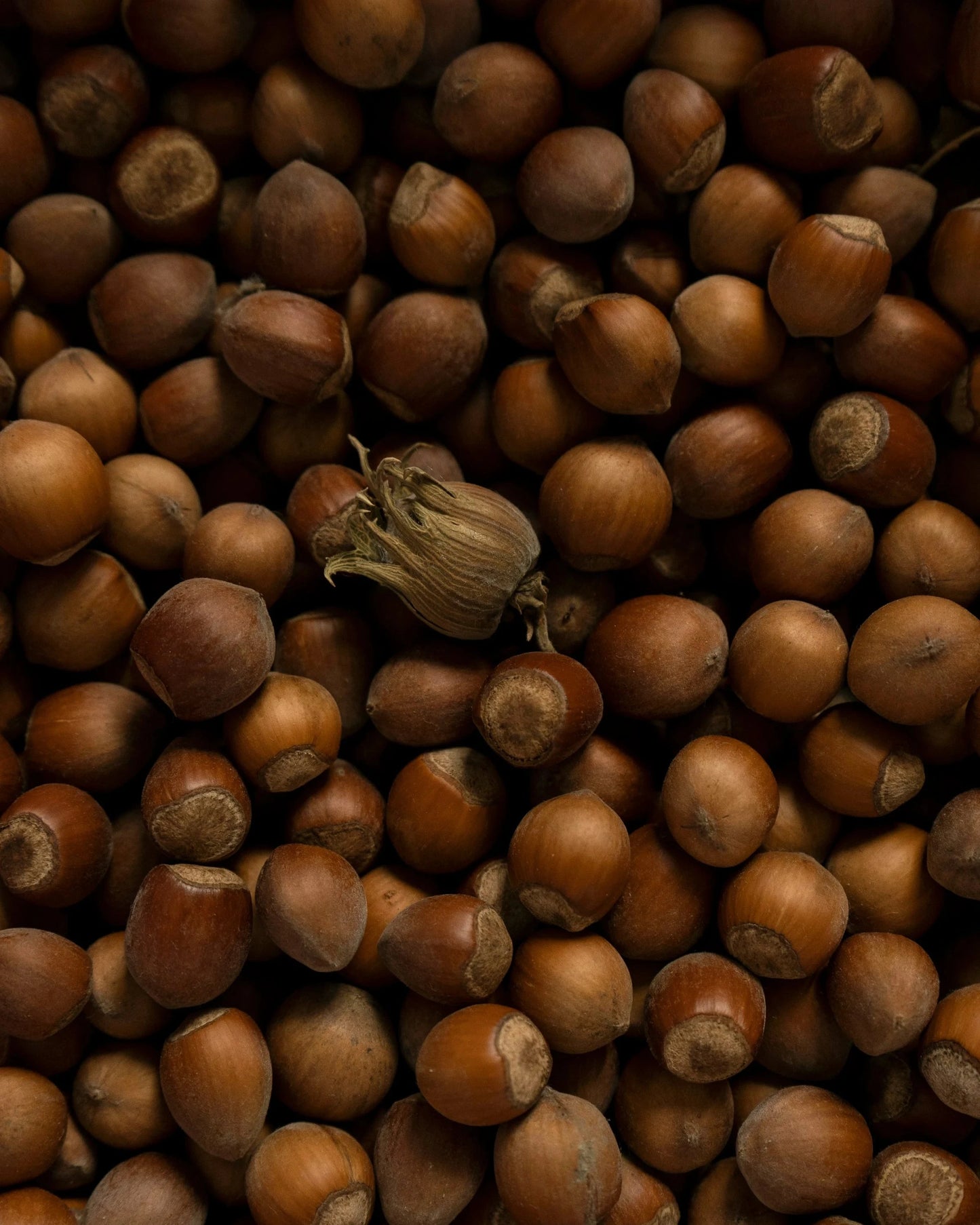 Crème illuminatrice pour les yeux • Soft Petal