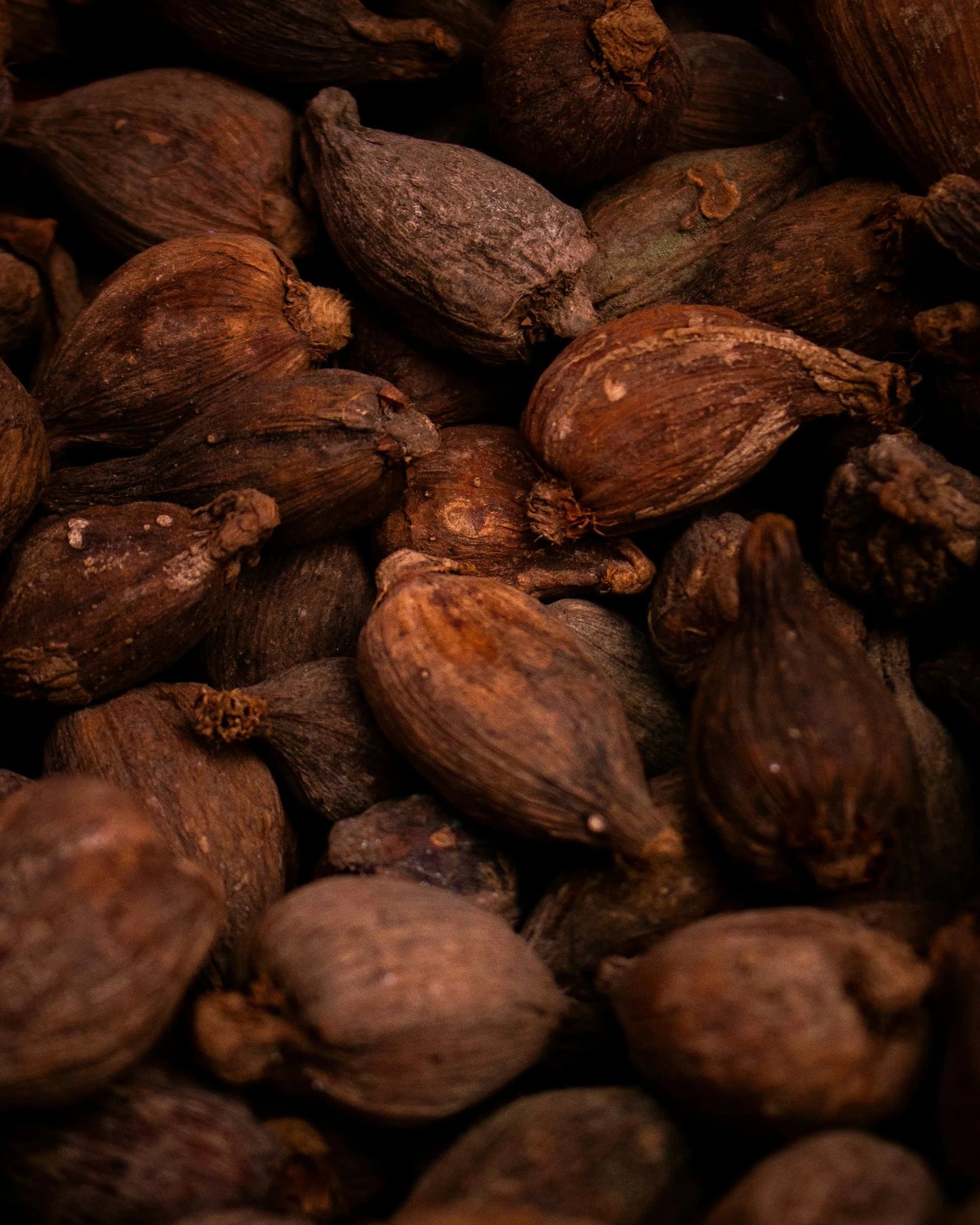 Collagen Anti-Age Night Cream • Moonlit Jasmine