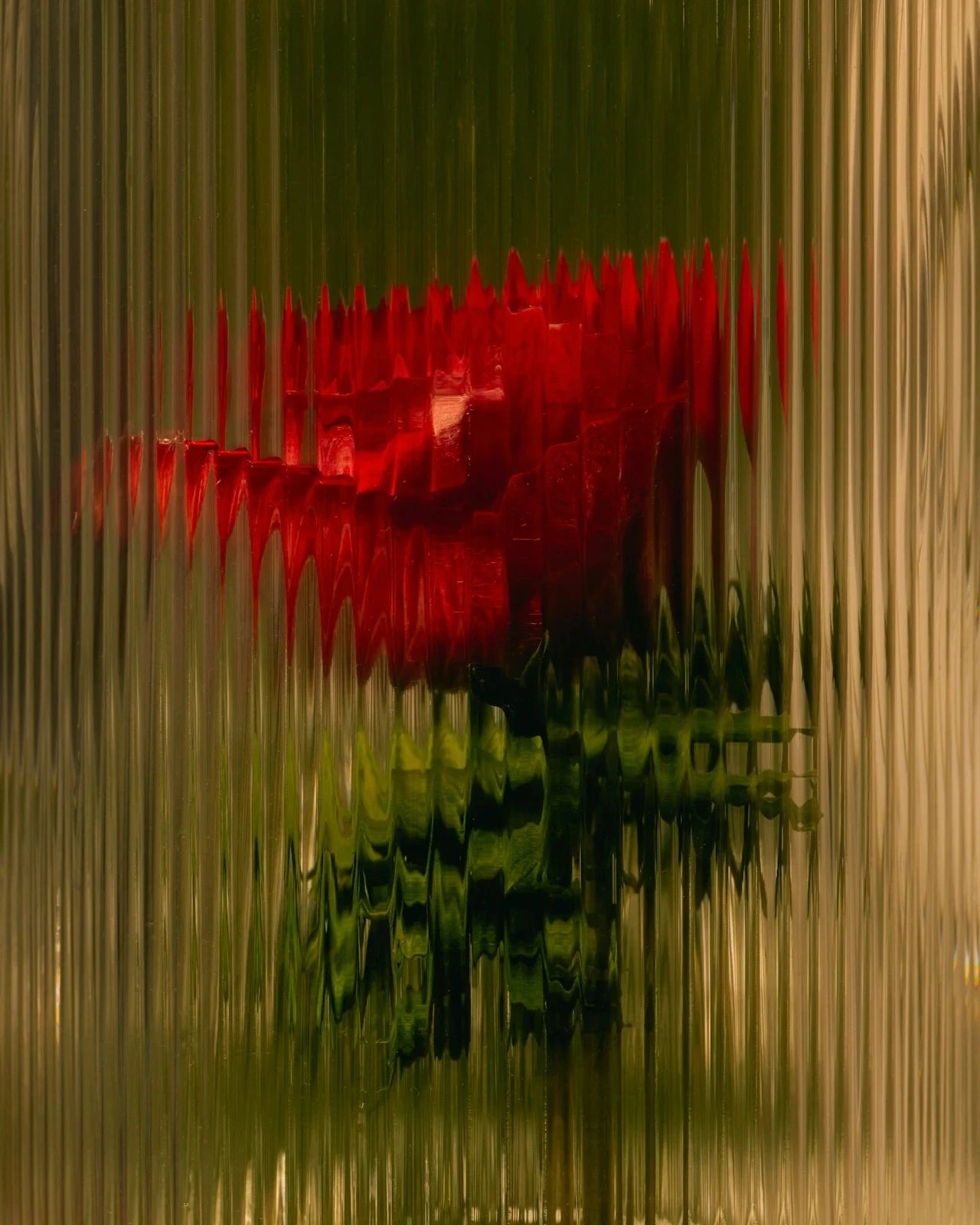 Hydrating Serum • Cotton Veil