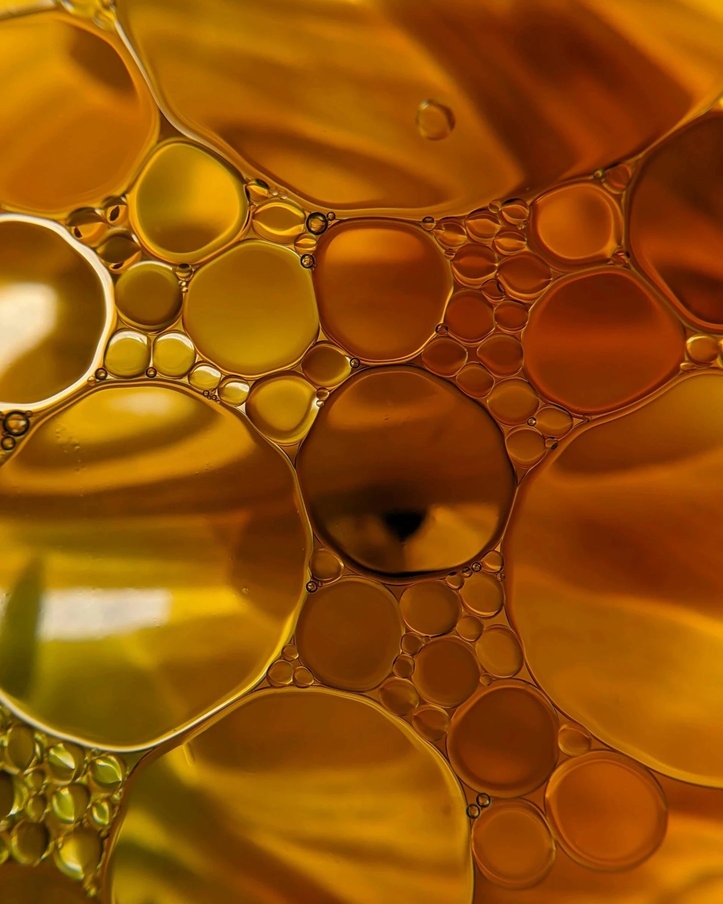 Calming Facial Oil • Green Hush