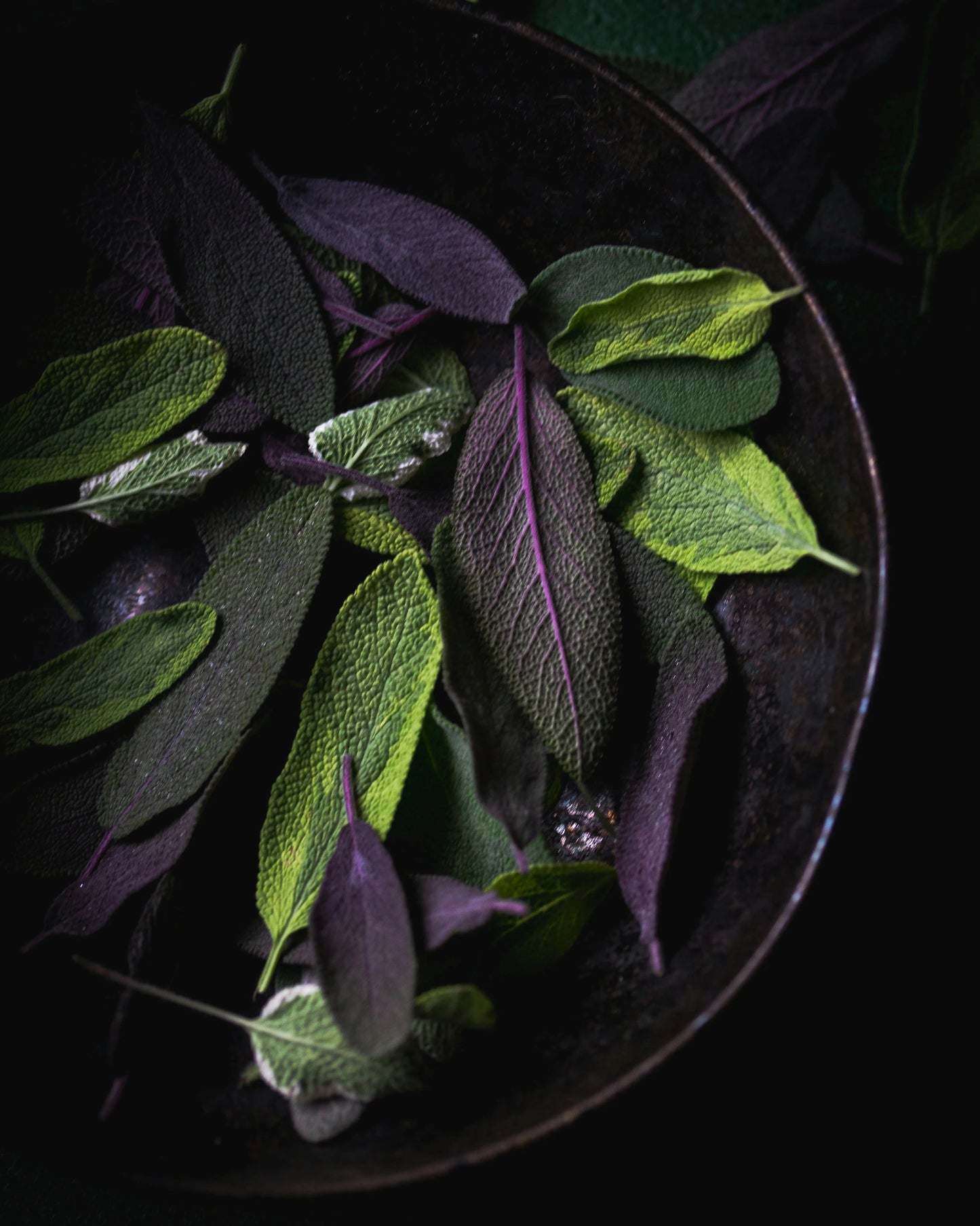 Purifying Mousse • Citrus Bloom