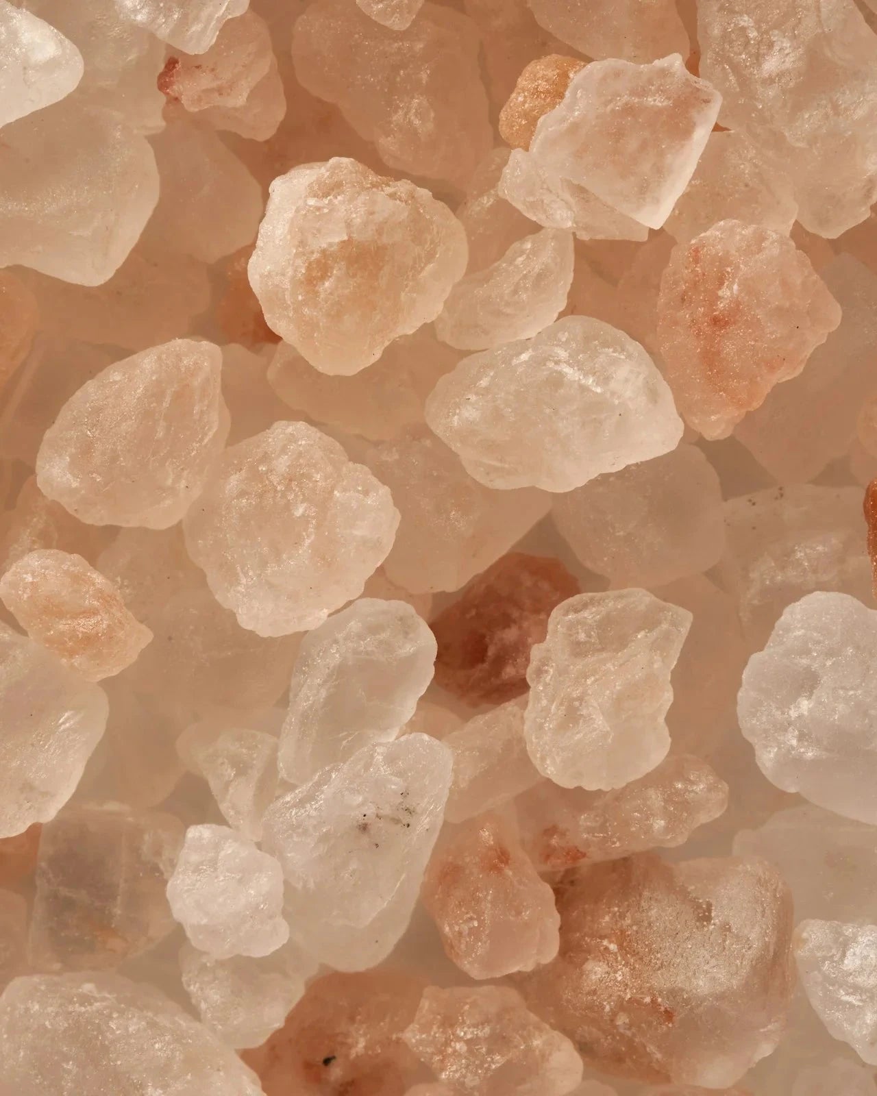 Hand Wash • Cardamom & Ginger