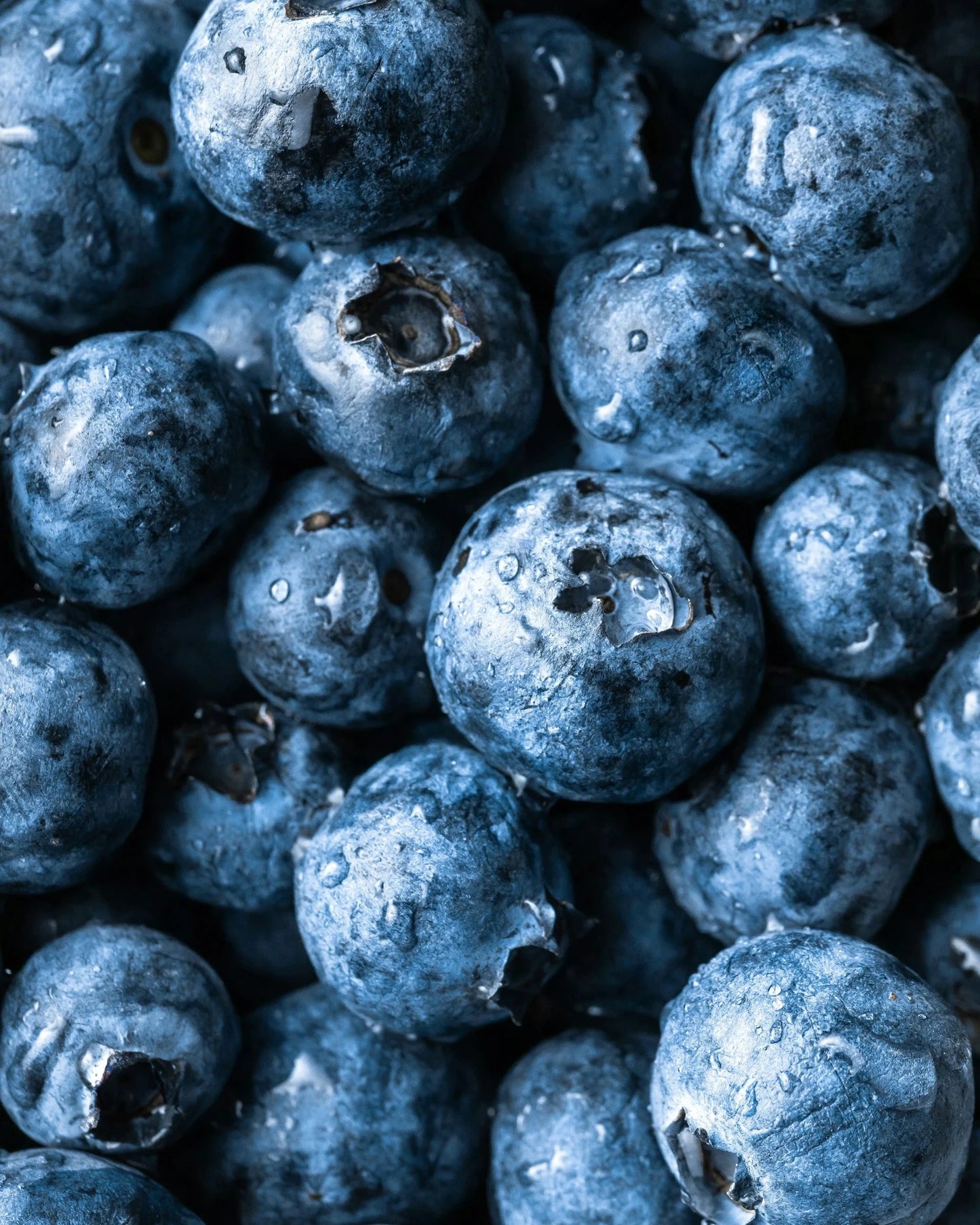 Natural Retinol-Alternative Oil • Spicy Rose