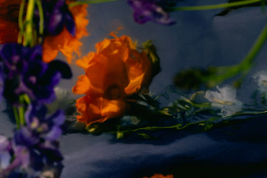 Ingredients That Speak: The Purity and Precision of Thoughtful Skincare